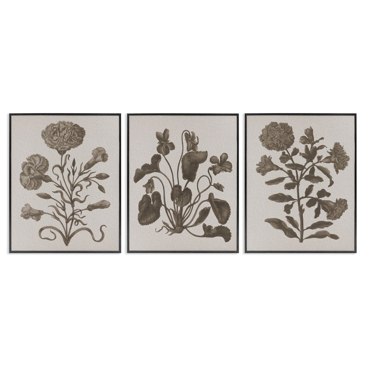 Stupell Industries Vintage Country Botanicals 3pc Framed Giclee Wall Art Set Design by Lil' Rue